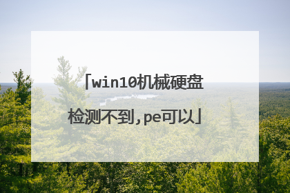 win10机械硬盘检测不到,pe可以