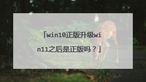 win10正版升级win11之后是正版吗?