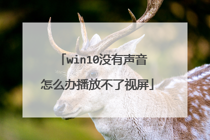 win10没有声音怎么办播放不了视屏