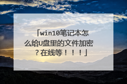 win10笔记本怎么给U盘里的文件加密？在线等！！！