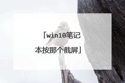win10笔记本按那个截屏