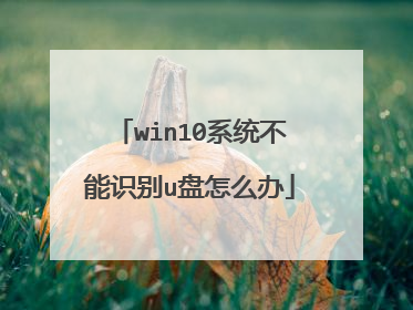 win10系统不能识别u盘怎么办