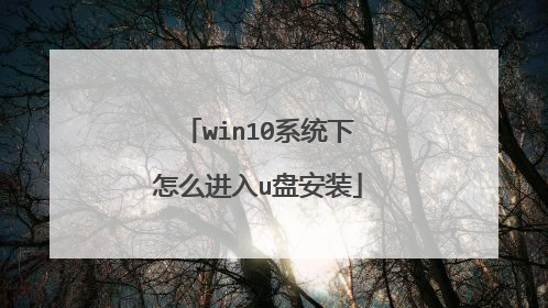 win10系统下怎么进入u盘安装