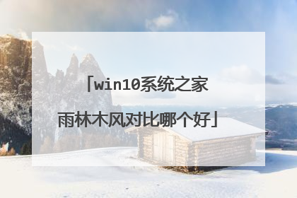 win10系统之家雨林木风对比哪个好