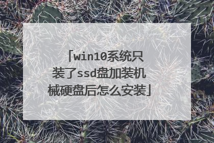 win10系统只装了ssd盘加装机械硬盘后怎么安装