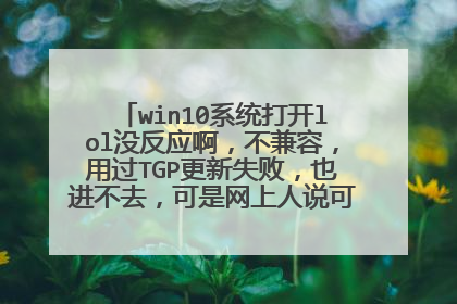 win10系统打开lol没反应啊,不兼容,用过TGP更新失败,也进不去,可是网上人说可以玩怎么弄的