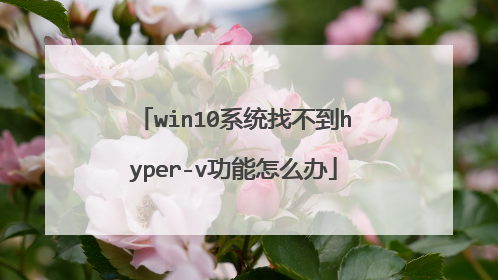 win10系统找不到hyper-v功能怎么办
