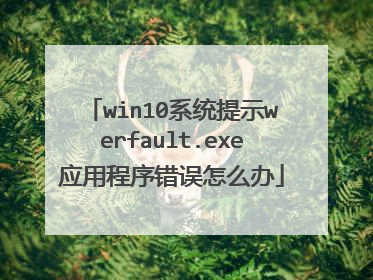 win10系统提示werfault.exe应用程序错误怎么办