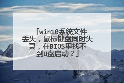 win10系统文件丢失，鼠标键盘同时失灵，在BIOS里找不到U盘启动？