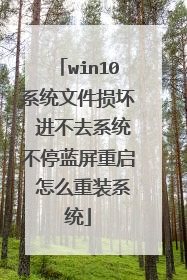 win10系统文件损坏 进不去系统不停蓝屏重启 怎么重装系统