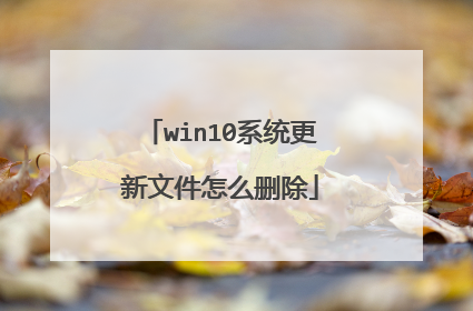 win10系统更新文件怎么删除