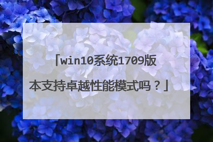 win10系统1709版本支持卓越性能模式吗?