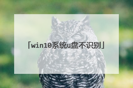 win10系统u盘不识别