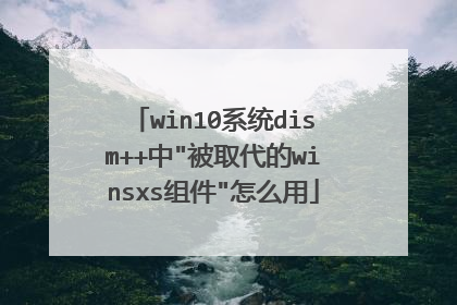 win10系统dism++中
