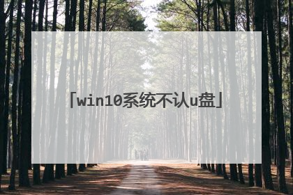 win10系统不认u盘