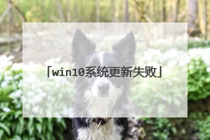 win10系统更新失败