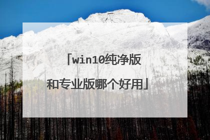 win10纯净版和专业版哪个好用