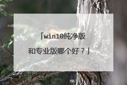 win10纯净版和专业版哪个好?