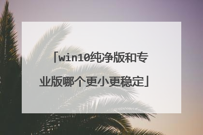 win10纯净版和专业版哪个更小更稳定