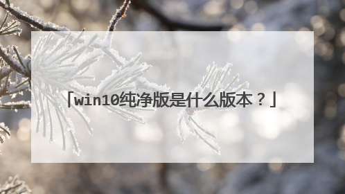 win10纯净版是什么版本?