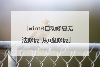 win10自动修复无法修复 从u盘修复