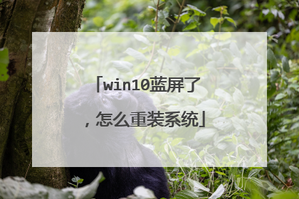 win10蓝屏了,怎么重装系统