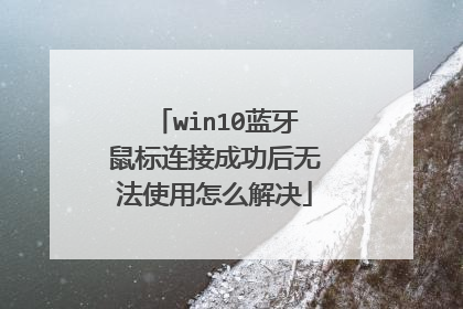 win10蓝牙鼠标连接成功后无法使用怎么解决