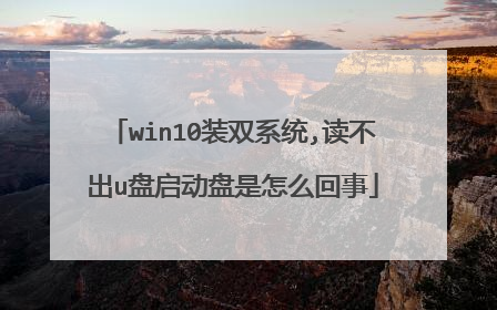 win10装双系统,读不出u盘启动盘是怎么回事