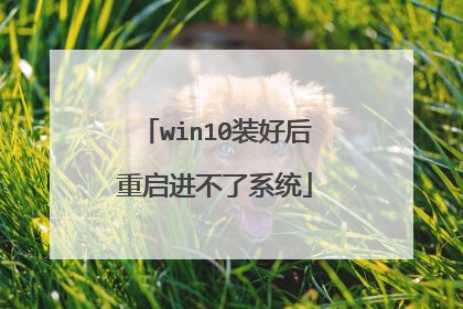 win10装好后重启进不了系统