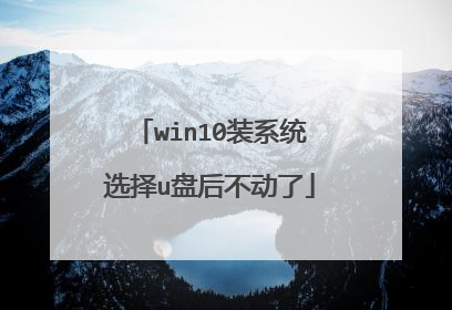 win10装系统选择u盘后不动了