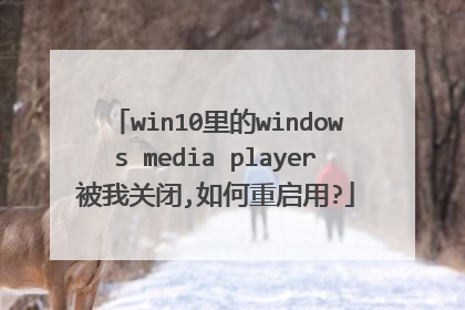 win10里的windows media player被我关闭,如何重启用?