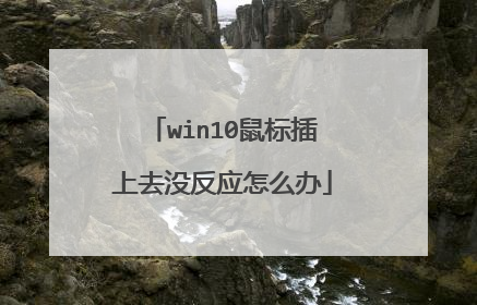 win10鼠标插上去没反应怎么办