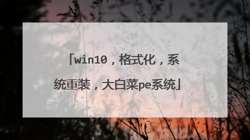 win10,格式化,系统重装,大白菜pe系统