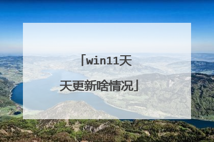 win11天天更新啥情况
