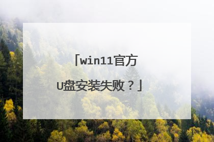 win11官方U盘安装失败?