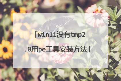 win11没有tmp2.0用pe工具安装方法