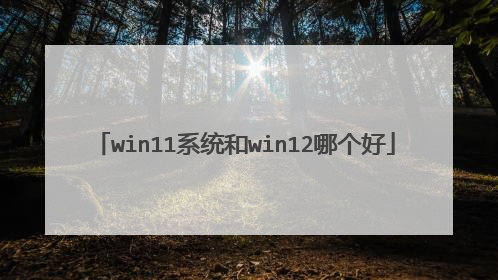win11系统和win12哪个好