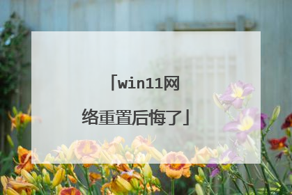 win11网络重置后悔了