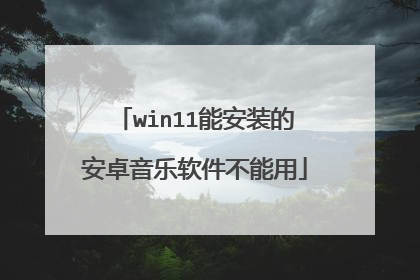 win11能安装的安卓音乐软件不能用