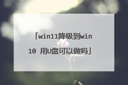 win11降级到win10 用U盘可以做吗