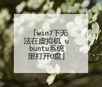 win7下无法在虚拟机 ubuntu系统里打开U盘