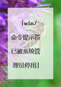 win7命令提示符已被系统管理员停用