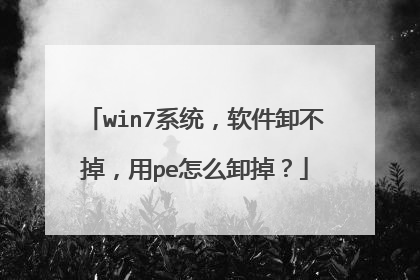 win7系统，软件卸不掉，用pe怎么卸掉？