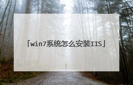 win7系统怎么安装IIS