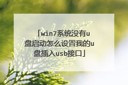 win7系统没有u盘启动怎么设置我的u盘插入usb接口