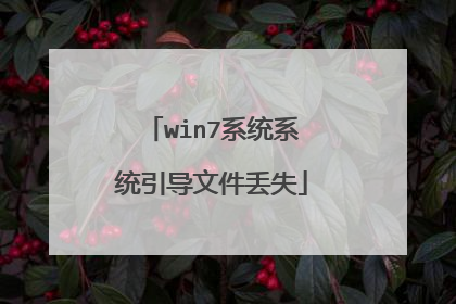 win7系统系统引导文件丢失