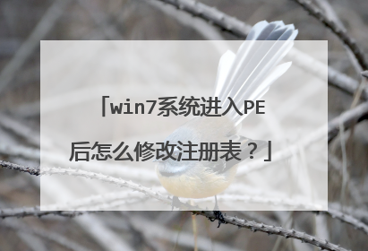win7系统进入PE后怎么修改注册表?