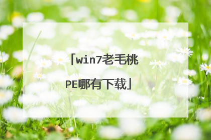 win7老毛桃PE哪有下载