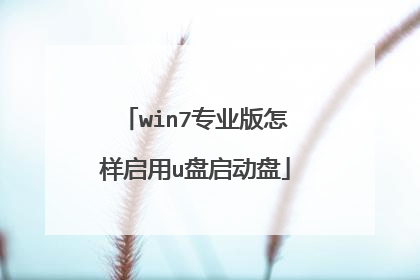 win7专业版怎样启用u盘启动盘