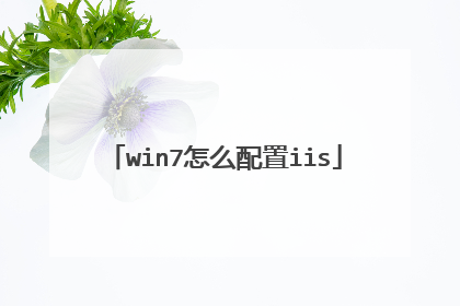 win7怎么配置iis